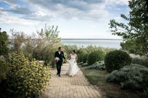 Paysage Domaine Chemin des Moures